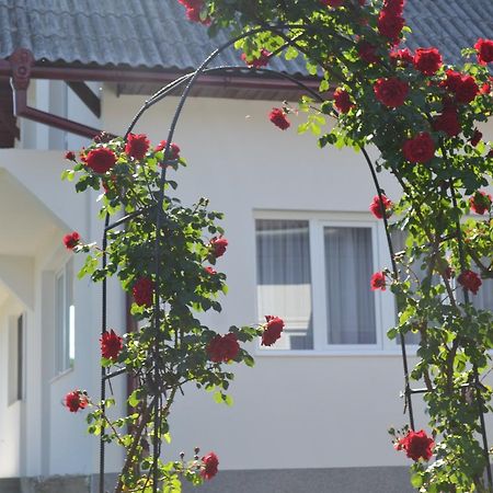 Casa Maria Prundul Birgaului Exterior foto