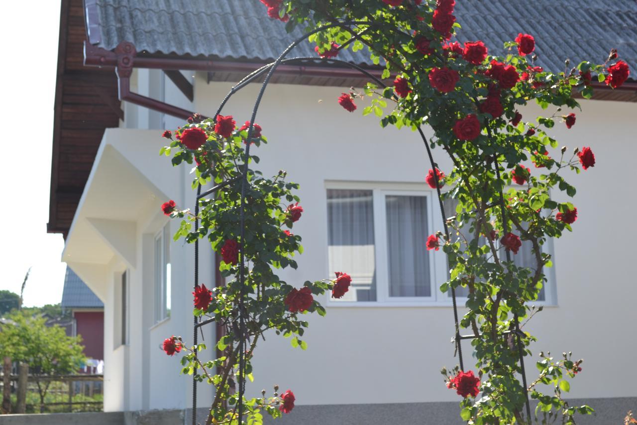 Casa Maria Prundul Birgaului Exterior foto